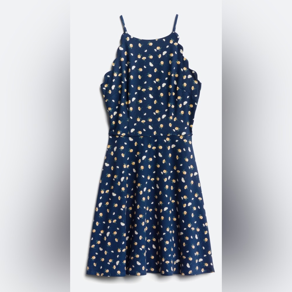 🌺  NWT  FORTUNE + IVY Taliyah Scallop Detail Knit Navy Dress 🌺